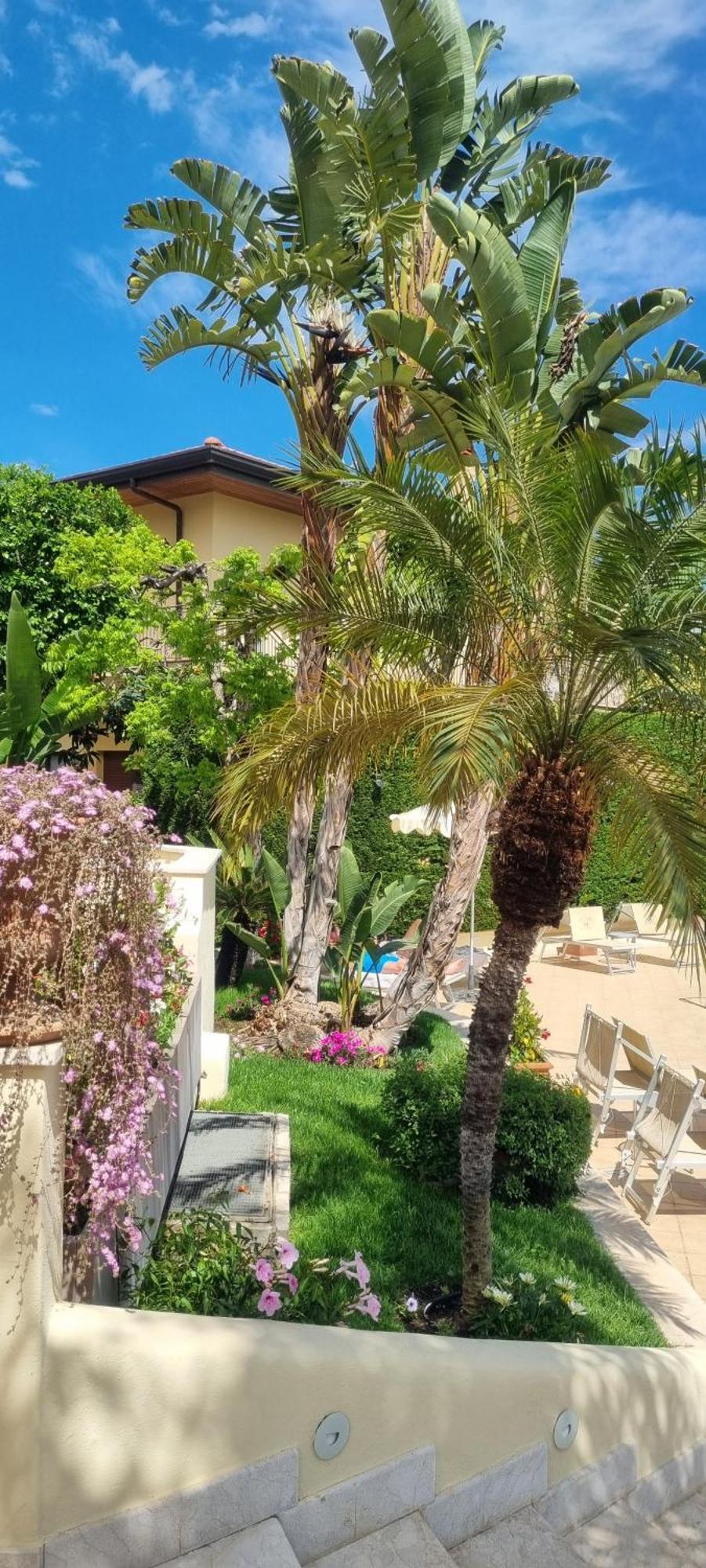 Daphne 4* Giardini-Naxos